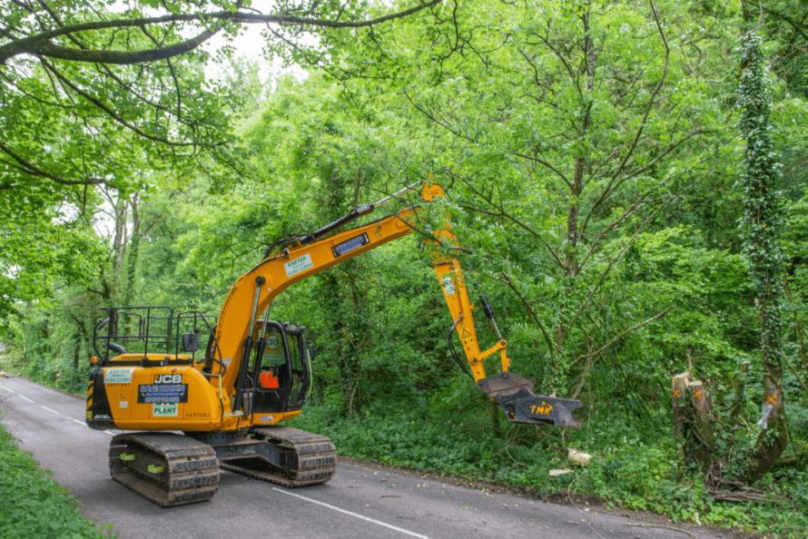 tree services