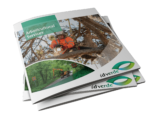 Download Arboriculture Brochure-min
