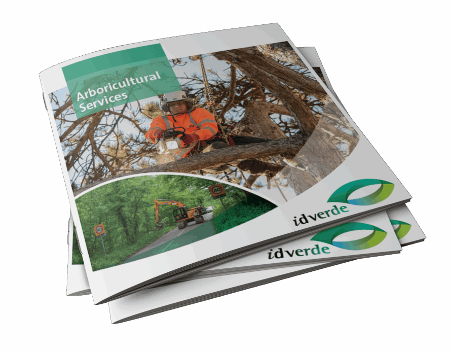 Download Arboriculture Brochure-min