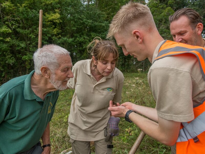 Species Monitoring