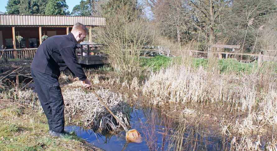 Pond survey Bromley Biodiversity