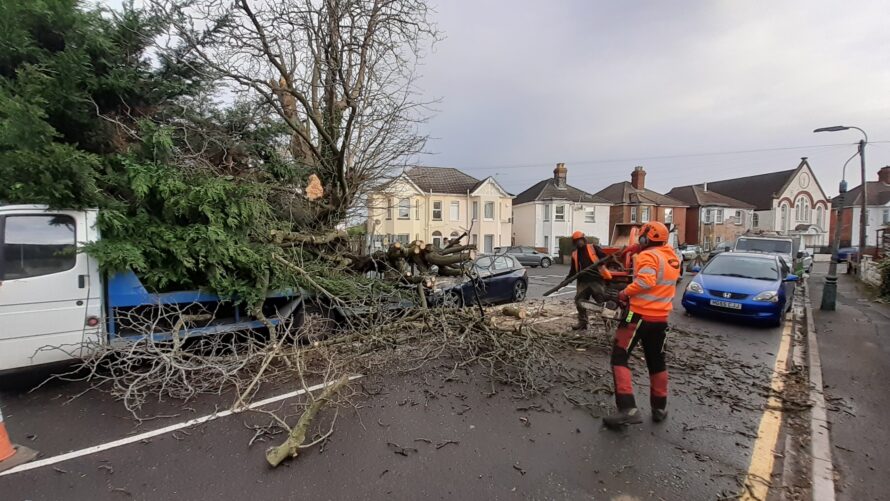 Storm Emergency Response | Tree Fallen