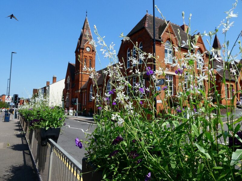 Bee-Friendly-plants-in-a-Barrier-Basket-for-Harbourne