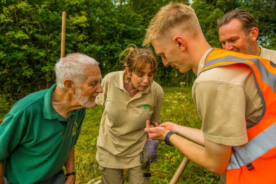 idverde - Bromley-11 sept 2019-6858-2