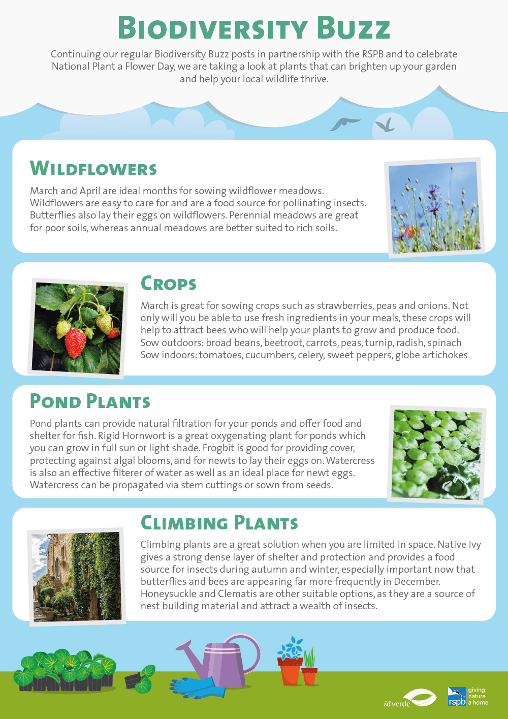 Plant a Flower Day Biodiversity Buzz March