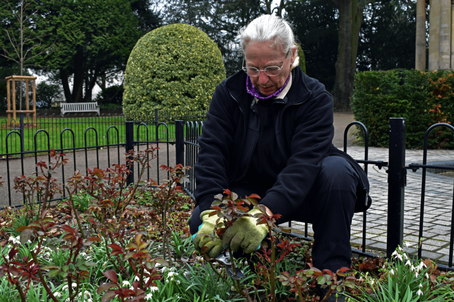 Women in horticulture