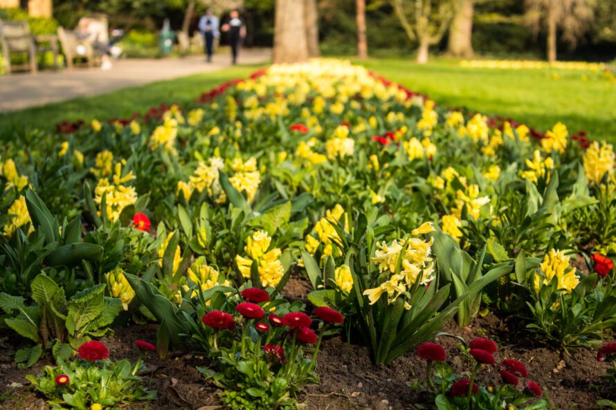 Jephson Gardens Soft Landscaping