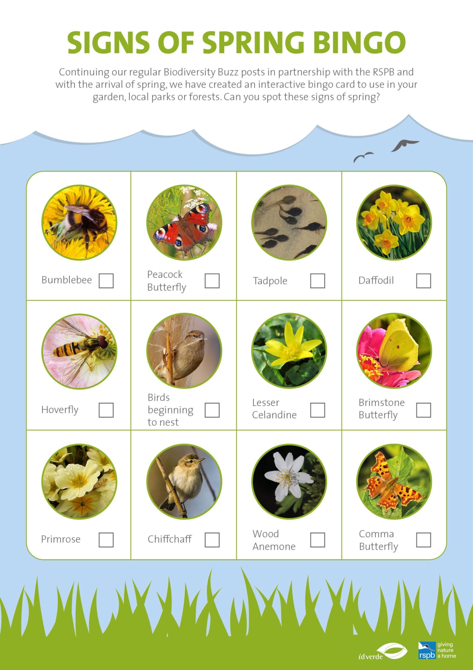 Biodiversity Buzz Signs of Spring Bingo