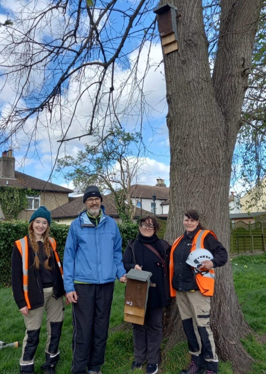 Bat Boxes Bromley