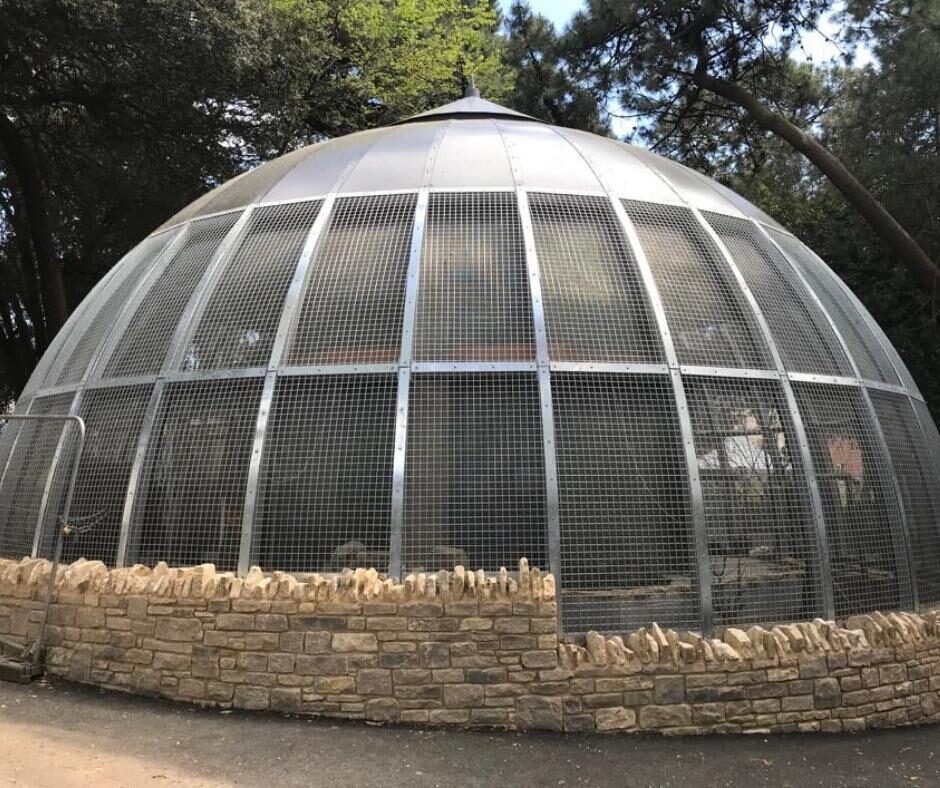 Bournemouth Aviary