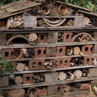 Children's Gardening Week