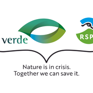 idverde rspb logo for web