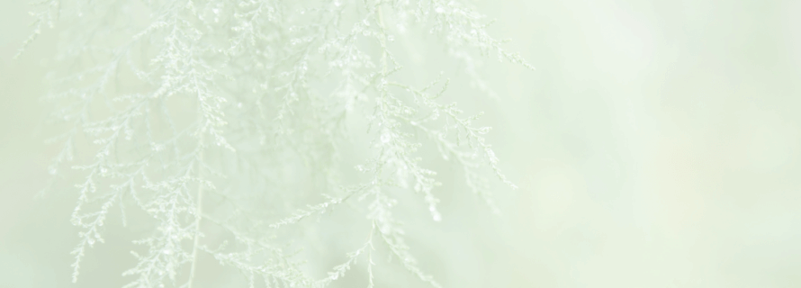 bckground bromley case study