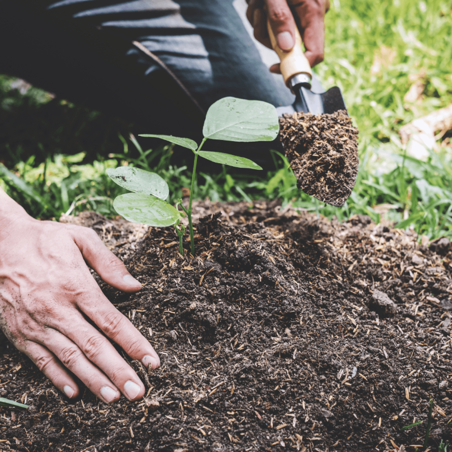 Soil Day