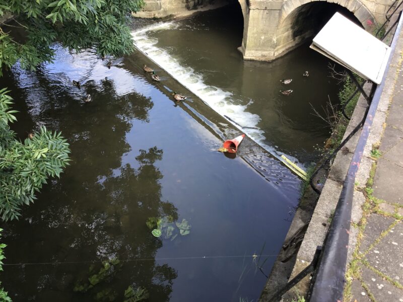 cone in a river