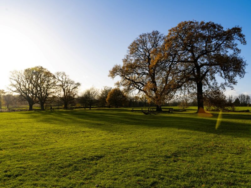 landscape photo of delapre abbey