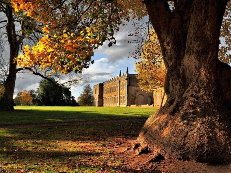 big tree in front of delapre