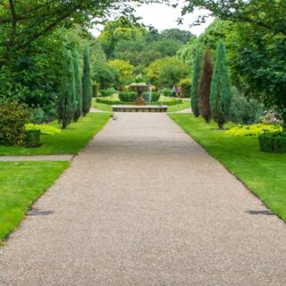 landscape photo of flowers and grass and pathway