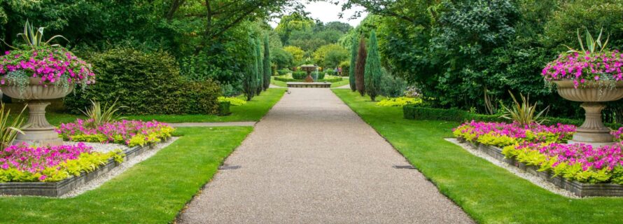 landscape photo of flowers and grass and pathway