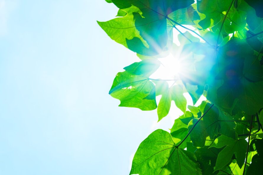 Renewable,Energy,Sun,Light,For,Green,Society