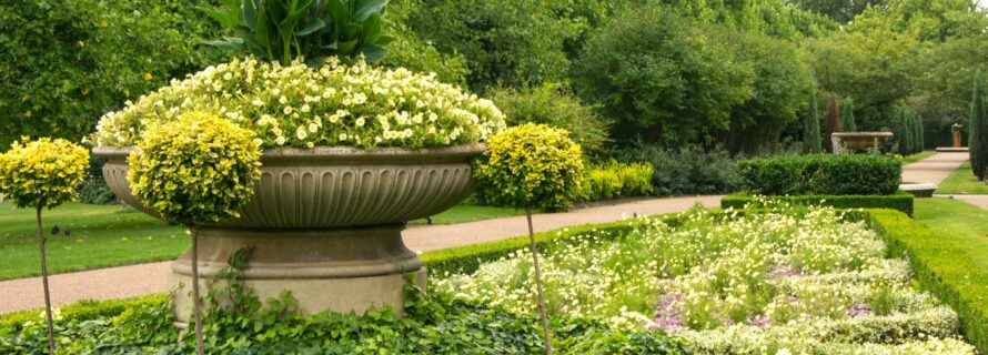 yellow flowers at regents park