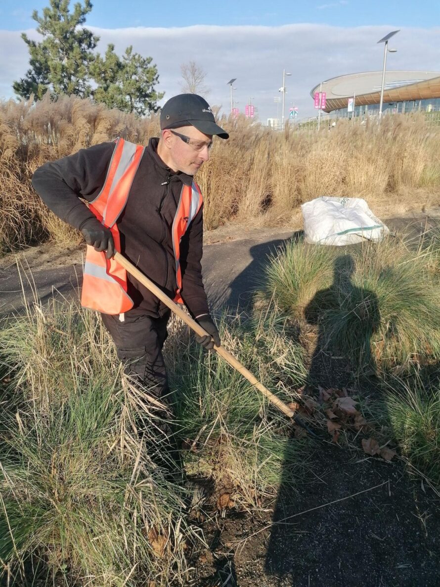 gardener raking