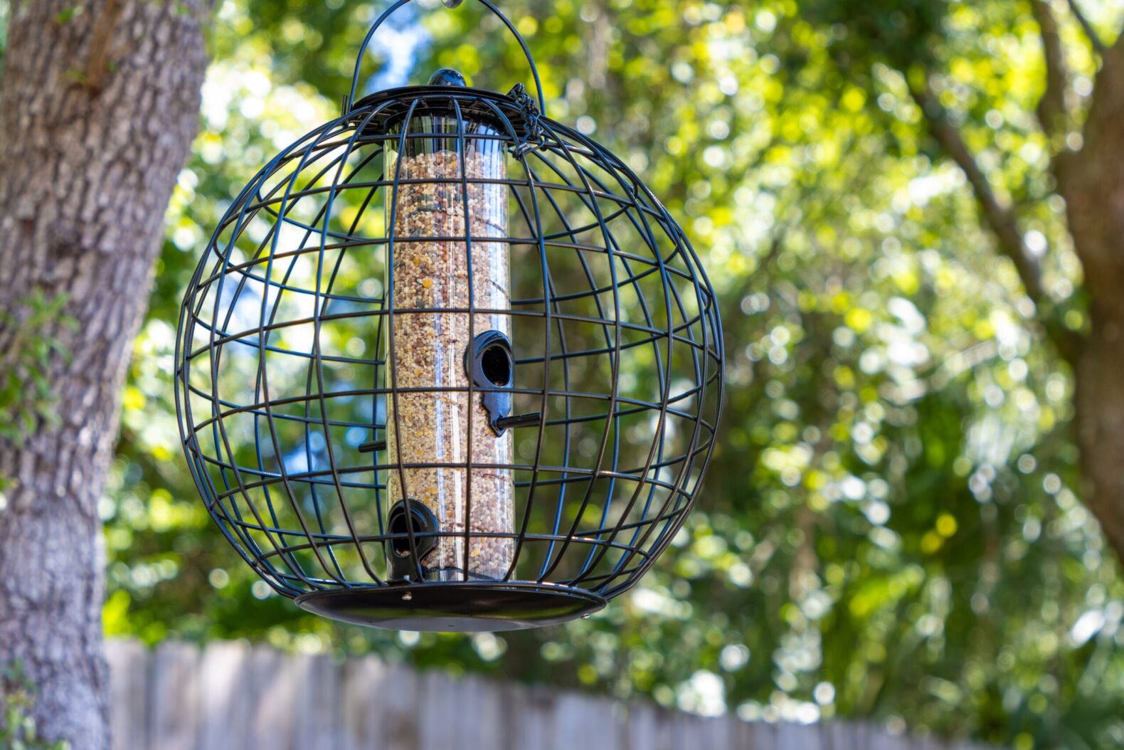 Bird,Feeder,Hanging,From,Tree,In,A,Back,Garden
