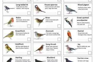 Bird Ticklist