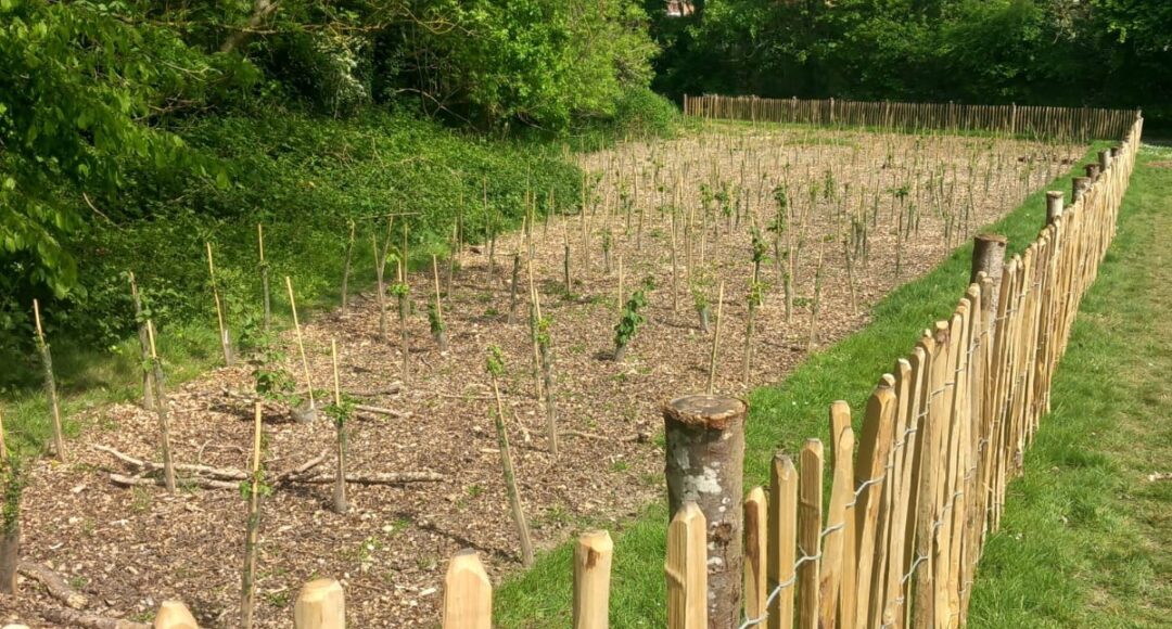Bromley-WEIF Site 4 April