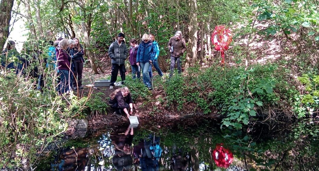 Sam Nicholson leading the aquatic survey session at Morley Quarry