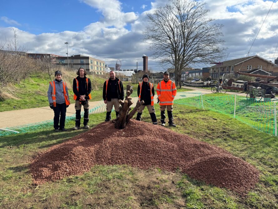 North Park Team Beetle Bank