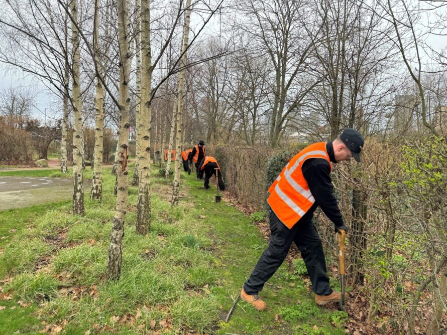 GBG Hedge Planting