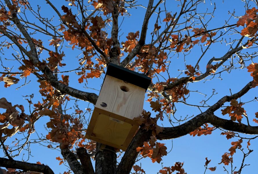 qeop-Bird-Box7