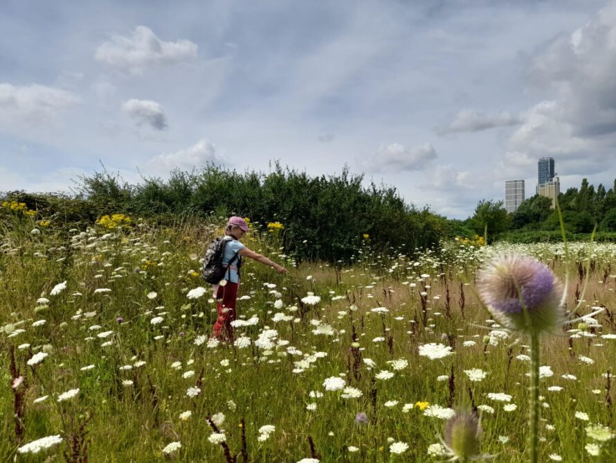 wws-bali-IMG-20240730-WA0056