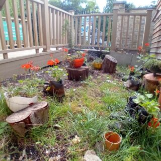 Parkwood School Planting-1000007207