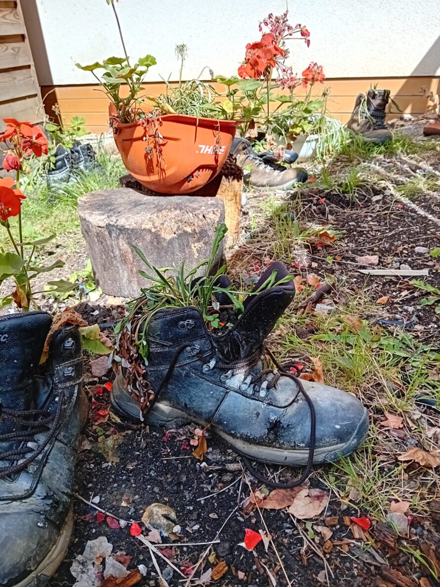 Parkwood School Planting-1000007200