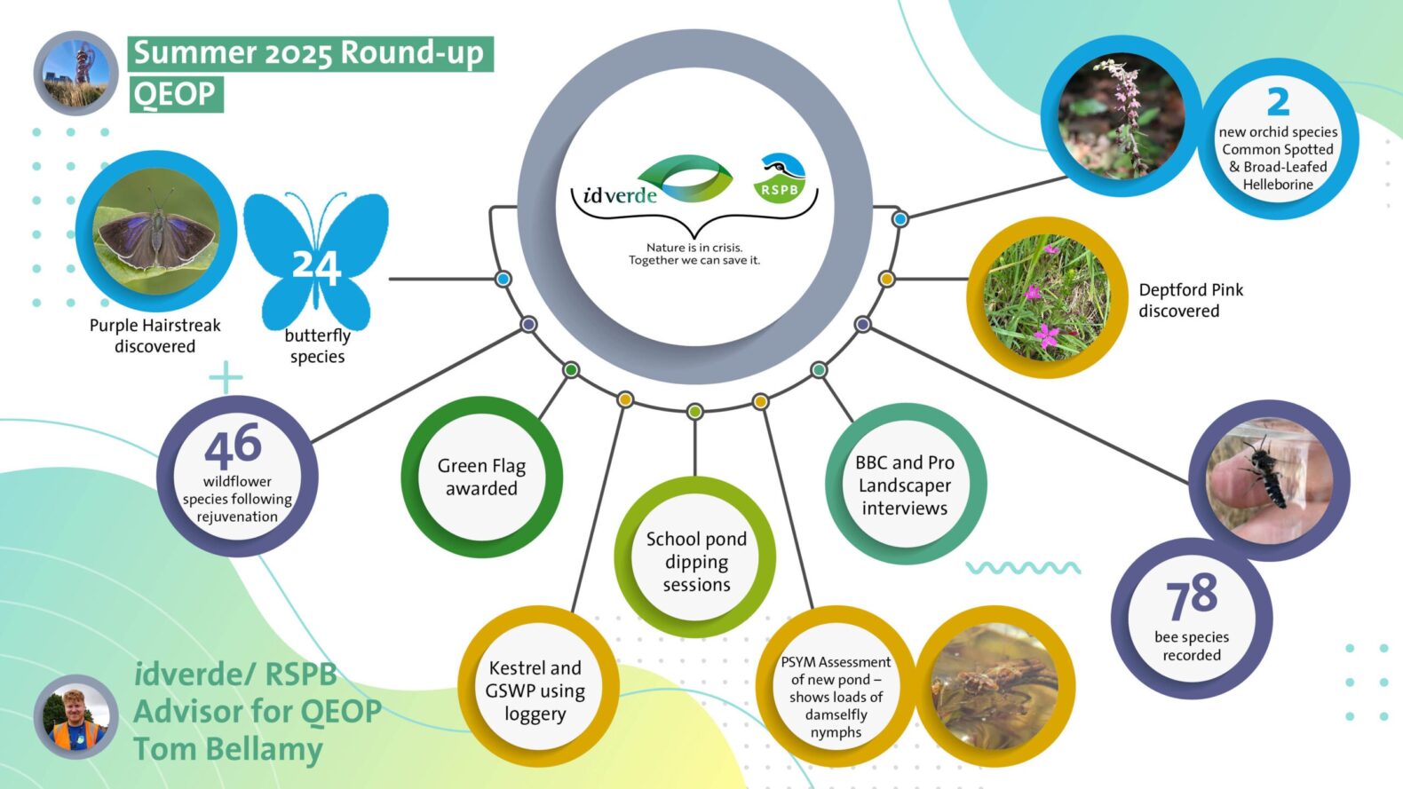 RSPB INFOGRAPHIC Summer 2025_01