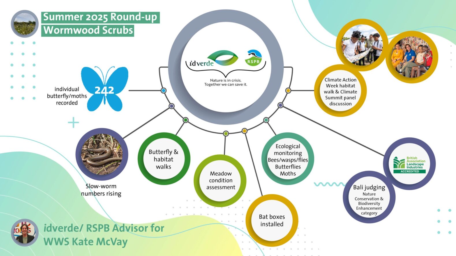 RSPB INFOGRAPHIC Summer 2025_02