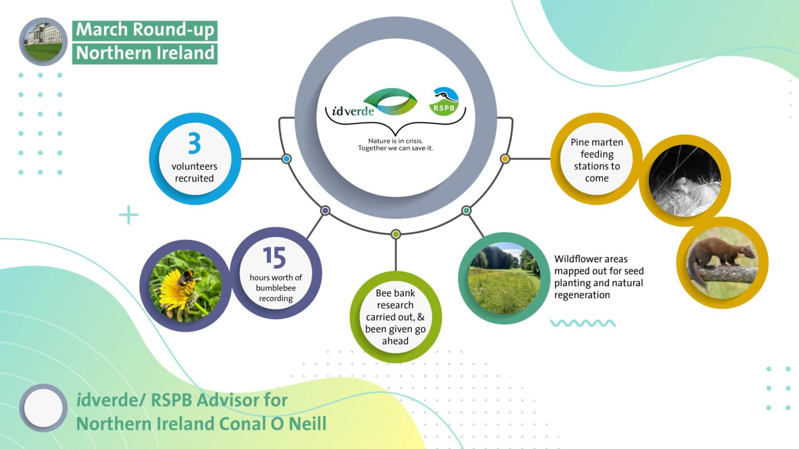 RSPB INFOGRAPHIC Summer 2025_05