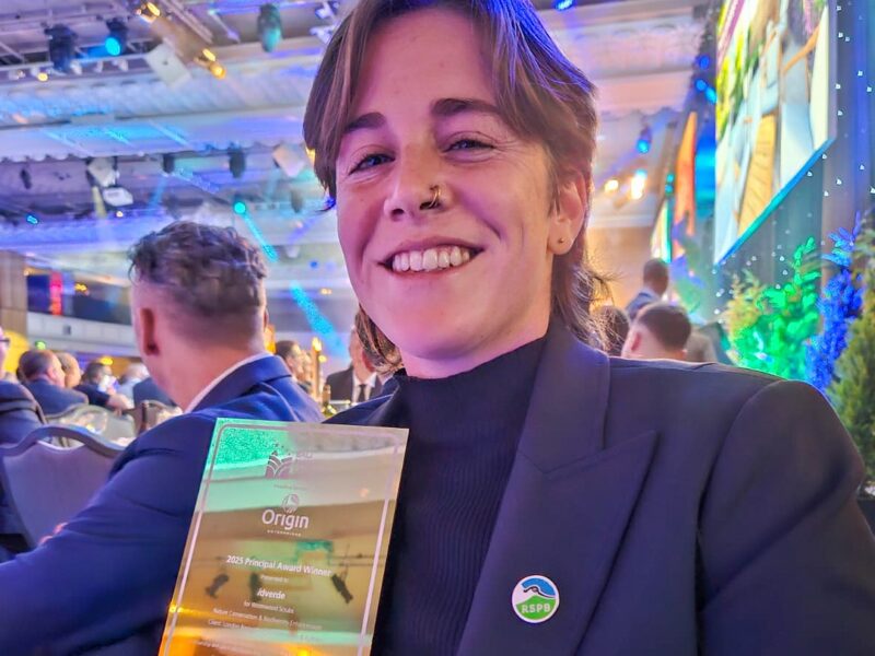 Bali 2025 image block26-292