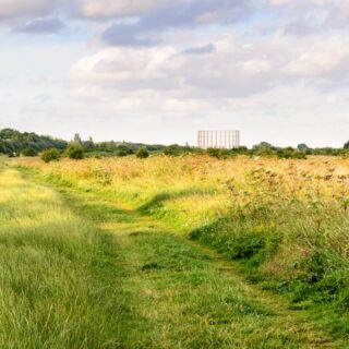 A,Disused,Gasometer,Rises,Above,Trees,And,Scrubland,In,Wormwood