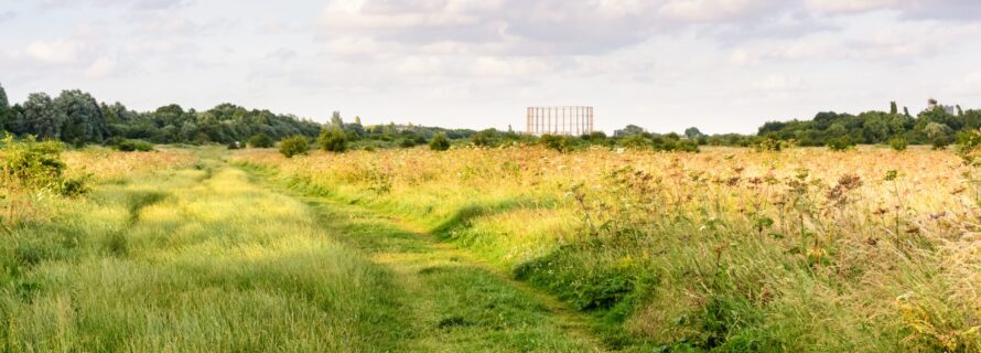 A,Disused,Gasometer,Rises,Above,Trees,And,Scrubland,In,Wormwood